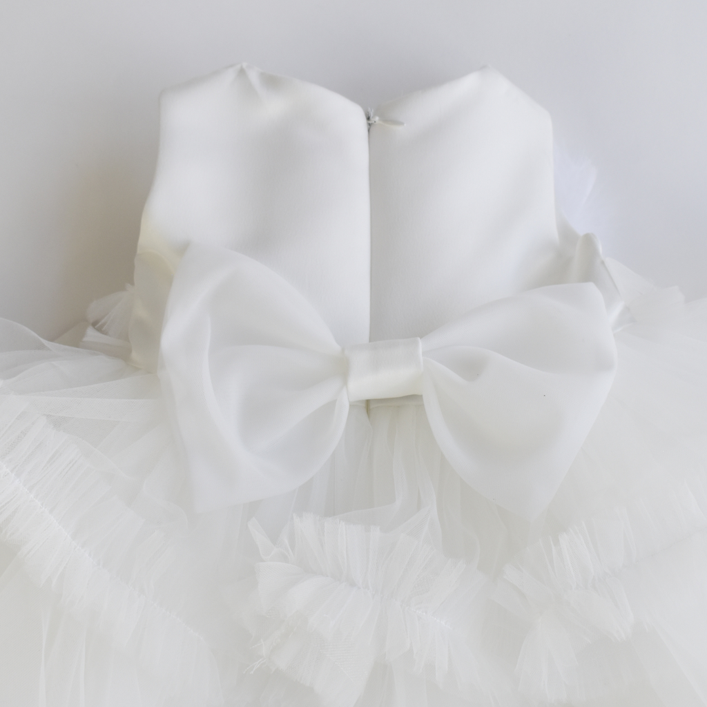 Feathers & Frills Baby Dress